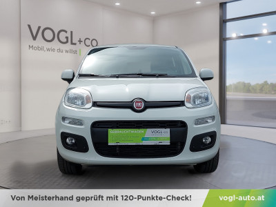 Fiat Panda Gebrauchtwagen