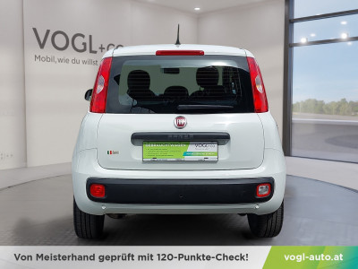 Fiat Panda Gebrauchtwagen