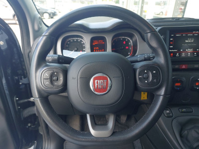 Fiat Panda Gebrauchtwagen Fiat Panda Gebrauchtwagen