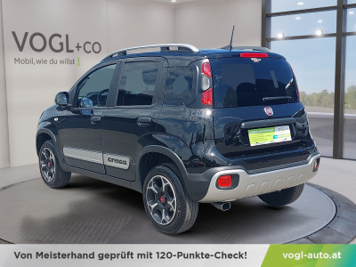 Fiat Panda Gebrauchtwagen Fiat Panda Gebrauchtwagen