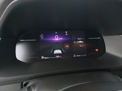Renault Kangoo Gebrauchtwagen