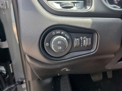 Jeep Renegade Tageszulassung