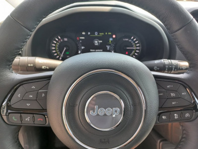 Jeep Renegade Tageszulassung