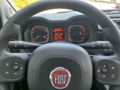 Fiat Panda Neuwagen