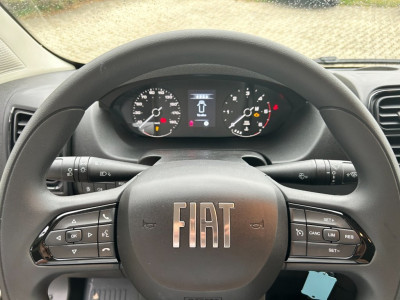 Fiat Ducato Tageszulassung