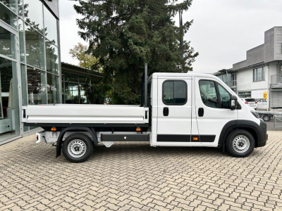 Fiat Ducato Tageszulassung