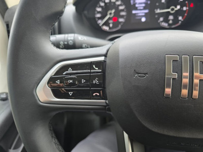 Fiat Ducato Tageszulassung Fiat Ducato Tageszulassung