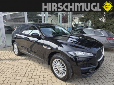 Jaguar F-Pace Gebrauchtwagen