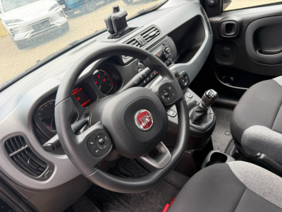 Fiat Panda Gebrauchtwagen Fiat Panda Gebrauchtwagen