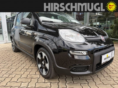 Fiat Panda Gebrauchtwagen Fiat Panda Gebrauchtwagen