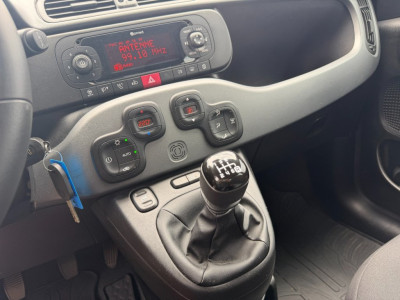 Fiat Panda Gebrauchtwagen Fiat Panda Gebrauchtwagen