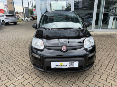 Fiat Panda Gebrauchtwagen Fiat Panda Gebrauchtwagen
