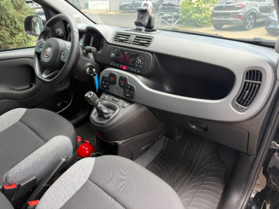 Fiat Panda Gebrauchtwagen Fiat Panda Gebrauchtwagen
