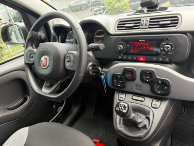 Fiat Panda Gebrauchtwagen Fiat Panda Gebrauchtwagen