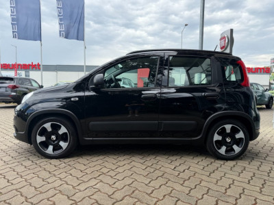 Fiat Panda Gebrauchtwagen Fiat Panda Gebrauchtwagen