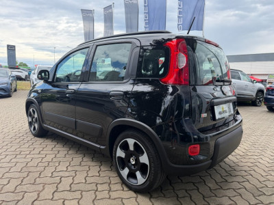Fiat Panda Gebrauchtwagen Fiat Panda Gebrauchtwagen