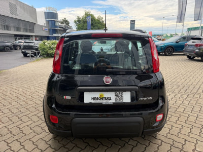 Fiat Panda Gebrauchtwagen Fiat Panda Gebrauchtwagen