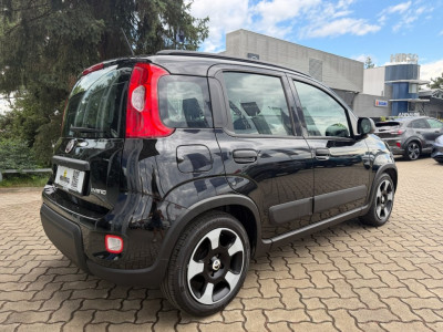 Fiat Panda Gebrauchtwagen Fiat Panda Gebrauchtwagen
