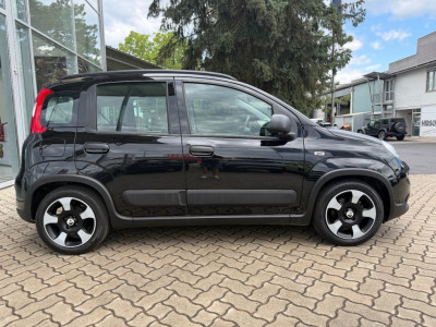 Fiat Panda Gebrauchtwagen Fiat Panda Gebrauchtwagen
