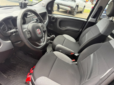 Fiat Panda Gebrauchtwagen Fiat Panda Gebrauchtwagen