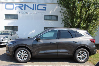 Ford Kuga Vorführwagen