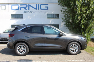 Ford Kuga Vorführwagen