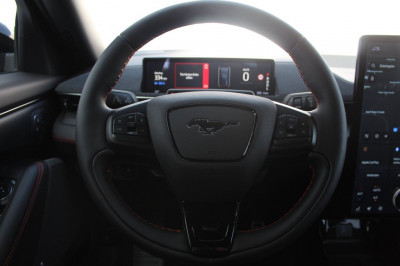 Ford Mustang Mach-E Gebrauchtwagen