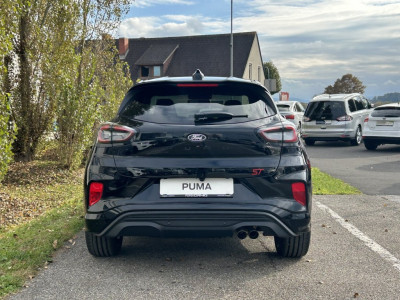 Ford Puma Neuwagen