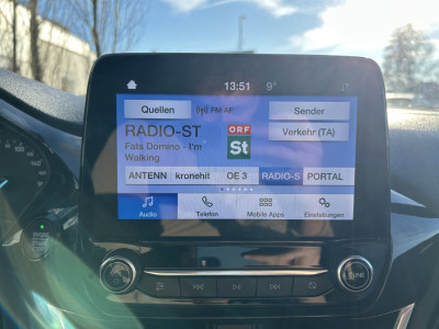 Ford Fiesta Gebrauchtwagen