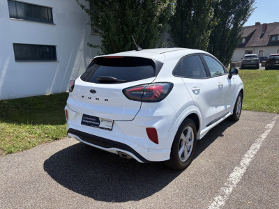 Ford Puma Gebrauchtwagen