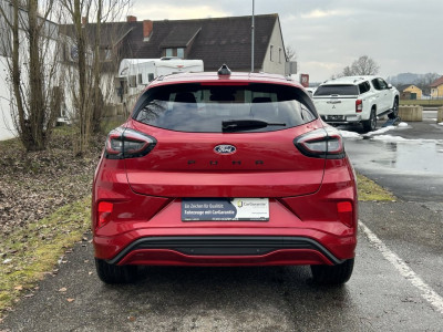 Ford Puma Gebrauchtwagen