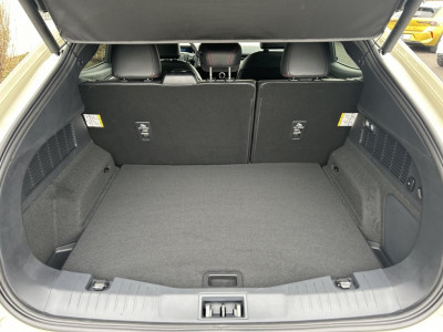 Ford Mustang Mach-E Neuwagen