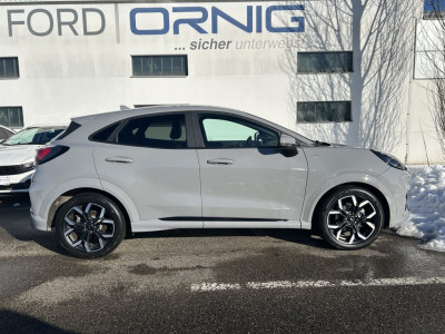 Ford Puma Gebrauchtwagen Ford Puma Gebrauchtwagen