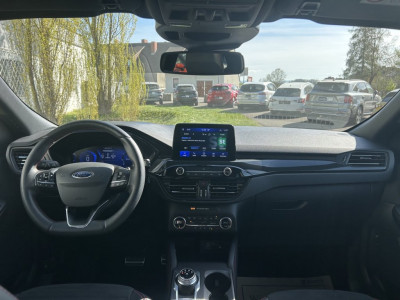 Ford Kuga Gebrauchtwagen