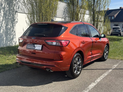 Ford Kuga Gebrauchtwagen