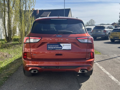 Ford Kuga Gebrauchtwagen