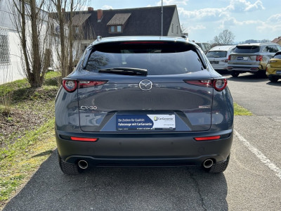 Mazda CX-30 Gebrauchtwagen