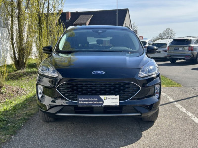 Ford Kuga Gebrauchtwagen