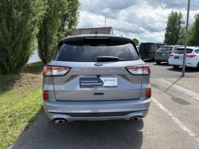 Ford Kuga Gebrauchtwagen