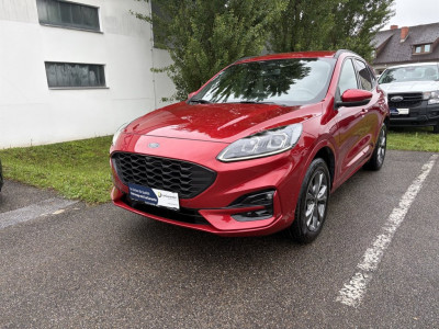 Ford Kuga Gebrauchtwagen Ford Kuga Gebrauchtwagen