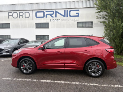 Ford Kuga Gebrauchtwagen Ford Kuga Gebrauchtwagen