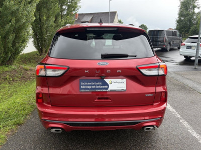 Ford Kuga Gebrauchtwagen Ford Kuga Gebrauchtwagen