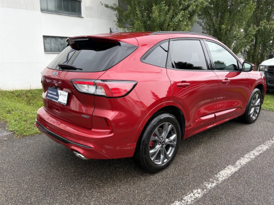 Ford Kuga Gebrauchtwagen Ford Kuga Gebrauchtwagen