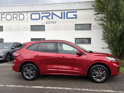 Ford Kuga Gebrauchtwagen Ford Kuga Gebrauchtwagen