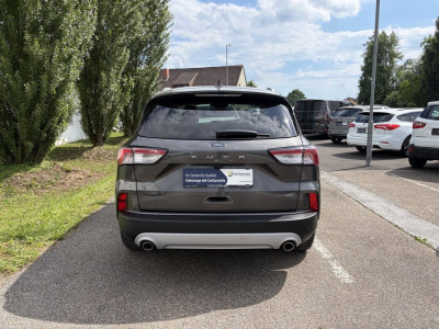 Ford Kuga Gebrauchtwagen Ford Kuga Gebrauchtwagen