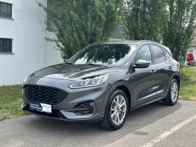 Ford Kuga Gebrauchtwagen Ford Kuga Gebrauchtwagen