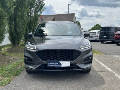 Ford Kuga Gebrauchtwagen Ford Kuga Gebrauchtwagen