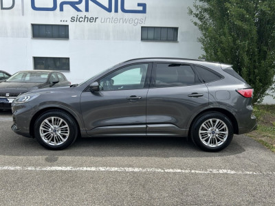 Ford Kuga Gebrauchtwagen Ford Kuga Gebrauchtwagen