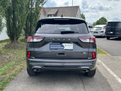 Ford Kuga Gebrauchtwagen Ford Kuga Gebrauchtwagen