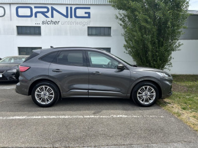 Ford Kuga Gebrauchtwagen Ford Kuga Gebrauchtwagen